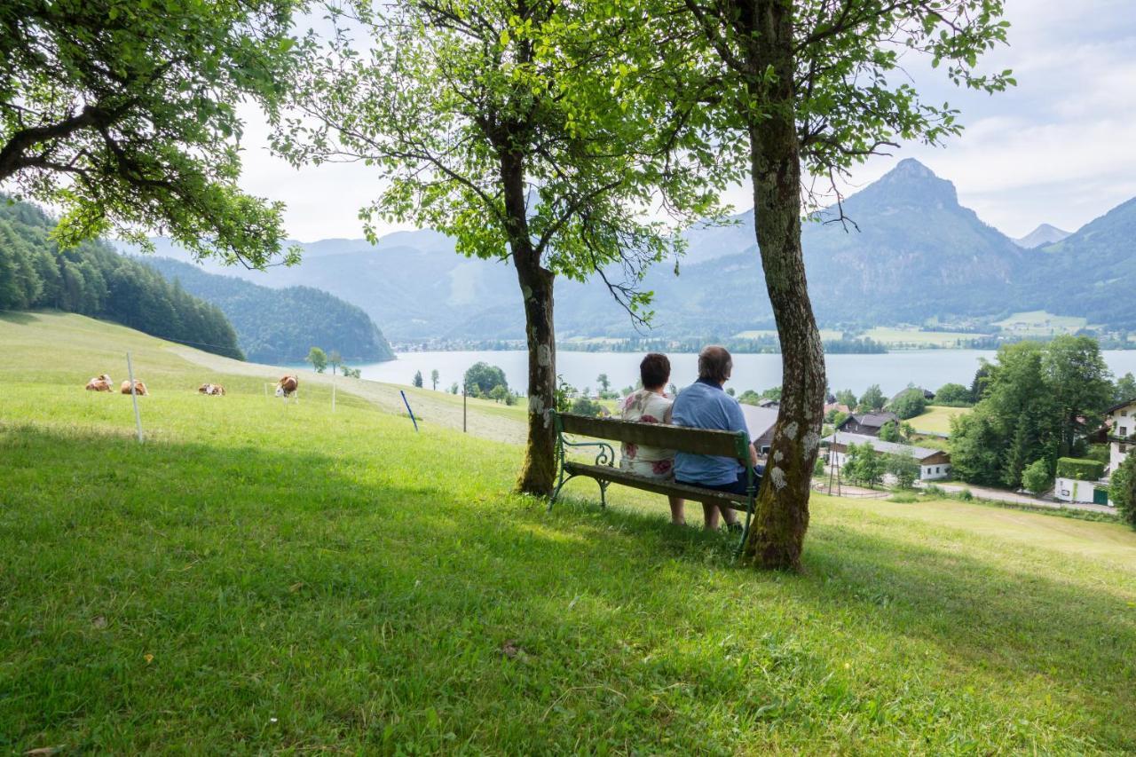 Hauslhof Bed & Breakfast Sankt Wolfgang im Salzkammergut Exterior photo